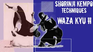 WAZA KYU II || SHORINJI KEMPO || TECHNIQUES 少林寺拳法
