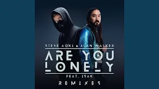 Are You Lonely (Steve Aoki Remix)