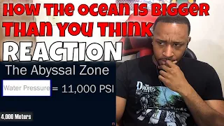 How the Ocean is Way Bigger Than You Think REACTION | DaVinci REACTS