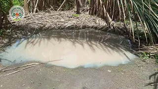 Manque d'eau Potable à Sassènè une réalité