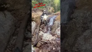 TET Rumänien Abfahrt im Wald mit KTM 690 Enduro Rallye Umbau