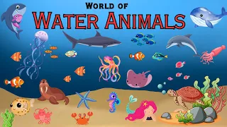 The Aquatic Encyclopedia: 100 Water Animals | Underwater Life | Sea Animals | Water Animals