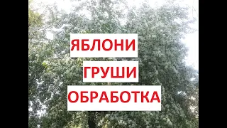 КАК ОБРАБАТЫВАТЬ ЯБЛОНИ 🍏 И ГРУШИ 🍐 ВЕСНОЙ ПОСЛЕ ЦВЕТЕНИЯ ОТ ПЛОДОЖОРКИ И ДРУГИХ ВРЕДИТЕЛЕЙ!