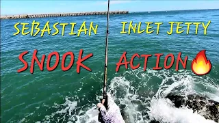 Snook Season Is HERE! Catching Slot SNOOK At The Sebastian Inlet Jetty!🔥