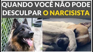 QUANDO VOCÊ NÃO  PODE PERDOAR O NARCISISTA