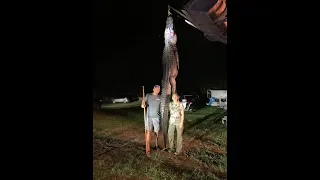 RECORD ALLIGATOR landed in Florida! 1127LBS!!! 13ft 2 inch