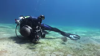 Martin Edge's Underwater Photo Tips.mov