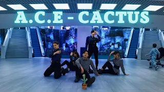 [KPOP IN PUBLIC] A.C.E (에이스) - 선인장 (CACTUS) | dance cover