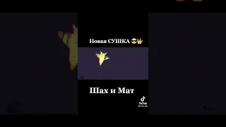 новая СУ (шах и мат)