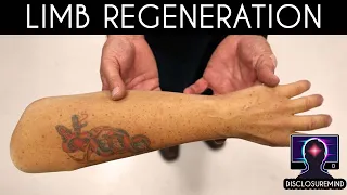 Can we regrow our LIMBS?