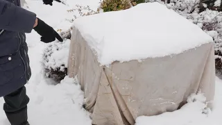 Укрытие роз. Зимний обзор укрытий для роз.