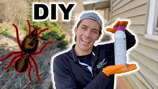 How I Get Rid of Termites for $38