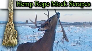 Hemp Rope Mock Scrape Setup! Influencing Deer Movement | HODAG HempScent Rope