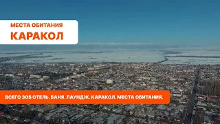 Всего 30$  Отель. Баня. Лаундж. Каракол. Места обитания