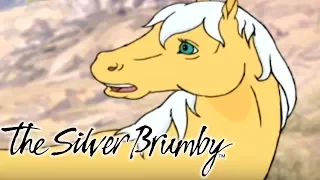 The Silver Brumby - Episode 26 | Golden Returns | HD | Full Episode | Cartoons For Kids