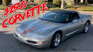 Cheapest C5 Corvette in the US | Review