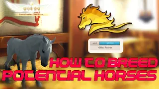 HOW TO BREED HIGH POTENTIAL HORSES IN ALICIA ONLINE