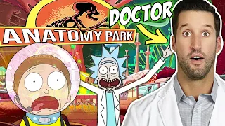 ER Doctor REACTS to Rick and Morty Anatomy Park Episode