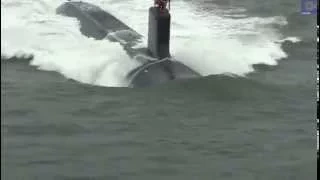 Pod Of Dolphins Swim In Front Of Submarine