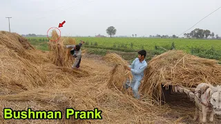 Try Not To Laugh Challenge With BUSHMAN PRANK New Funniest Video😃😄