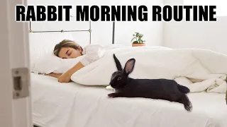 IN DEPTH BUNNY MORNING ROUTINE 💜