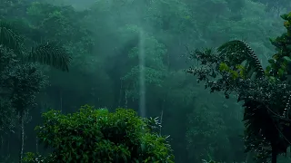 Rainforest Rain Sounds For Sleeping, Rain Sounds To Study, Relax, Purify And Heal Insomnia