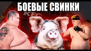 БОЙЦЫ ХРЮНДЕЛИ🐷 ПОЗОР ММА  !