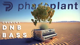 CRUNCHY DNB BASS : Phase Plant