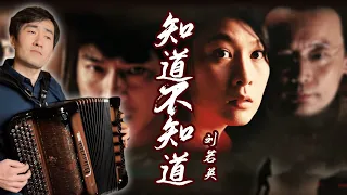 Do You Know | Rene Liu | The Message | Accordion Cover