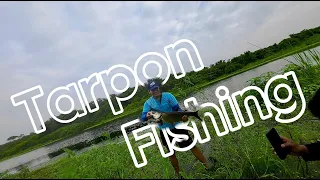 Flooded Pond Fishing For Tarpon