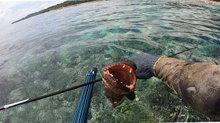 TOP 12 Shoot CORAL TROUT-Spearfishing Kerapu Sunu