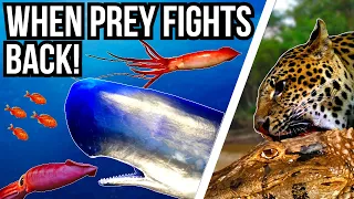 5 Apex Predators That Hunt Dangerous Prey