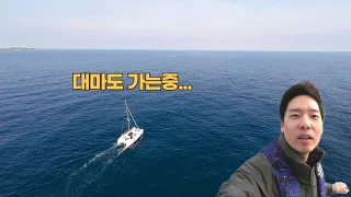 요트타고 부산에서 대마도 다녀오기