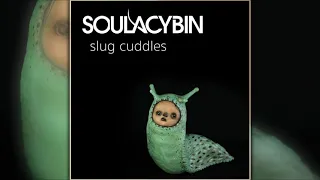 Soulacybin - Slug Cuddles | Full Album