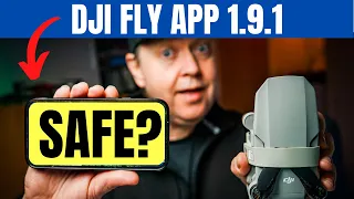 The DJI Mini 2 Reveal: Is The New Fly App Update SAFE?