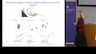 Patricia Janak - How Does Dopamine Mold Your Behavior?