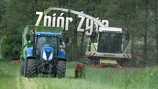 Żyto Na Kiszonkę 2022🔥Jaguar w Akcji🔥New Holland Case