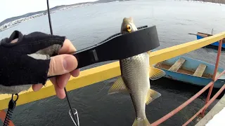 Мормышинг на микроприманки SportFishing Ribbed WORM + MATAGI TWA-662XUL. Водоемы оживают.