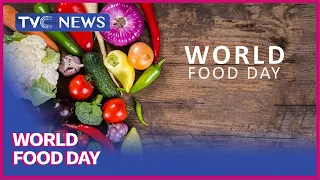 Discussion On The Significance Of World Food Day