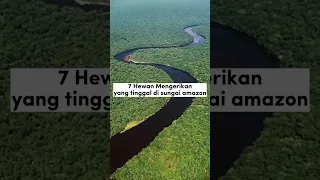 7 HEWAN MENGERIKAN YANG TINGGAL DI SUNGAI AMAZON!!