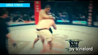 MMA VINES #28 / by Vinelord