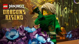 NINJAGO Dragons Rising | Season 1 Part 2 | Lloyd & Arin in The Mother Garden