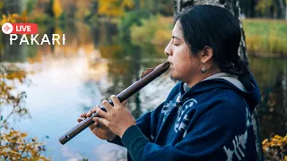 Pakari - Inspiring native music/Вдохновляющая индейская музыка🍂
