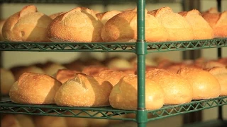 Crest Hill Bakery, The Artisan Experience