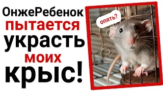 ОнжеРебенок пытается украсть моих крыс 🐁