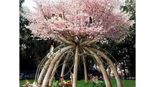 Live tree ART inspiration Ideas