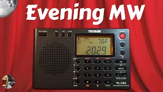 Tecsun PL-380 Shortwave Portable Radio Evening MW