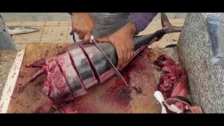 Very Big Fish Cutting Video|| Tuna Big Fish Cutting