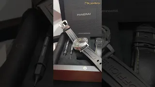 pam00531 Panerai Luminor GMT