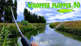 Doublé Au Whopper Plopper 90 !